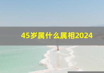 45岁属什么属相2024