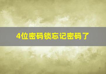 4位密码锁忘记密码了