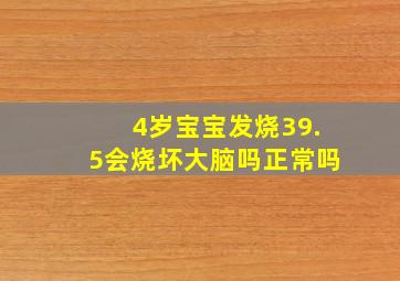 4岁宝宝发烧39.5会烧坏大脑吗正常吗