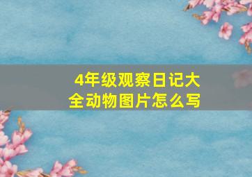 4年级观察日记大全动物图片怎么写