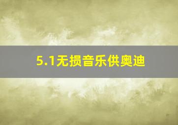 5.1无损音乐供奥迪