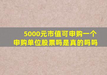 5000元市值可申购一个申购单位股票吗是真的吗吗