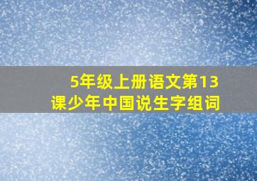 5年级上册语文第13课少年中国说生字组词