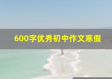 600字优秀初中作文寒假