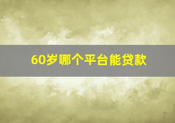 60岁哪个平台能贷款