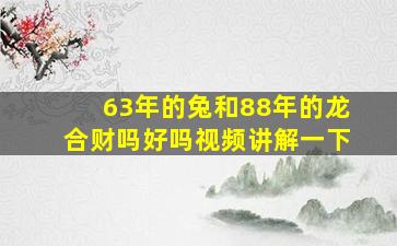 63年的兔和88年的龙合财吗好吗视频讲解一下