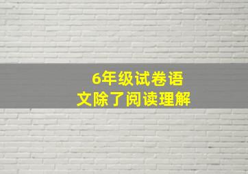 6年级试卷语文除了阅读理解