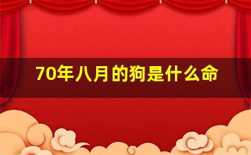 70年八月的狗是什么命