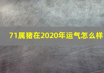 71属猪在2020年运气怎么样