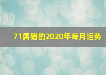 71属猪的2020年每月运势