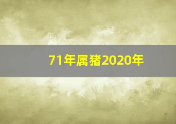 71年属猪2020年