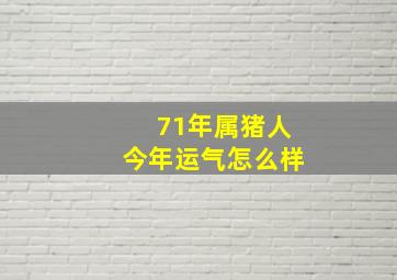 71年属猪人今年运气怎么样