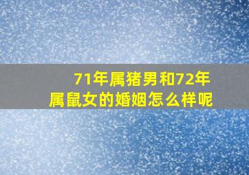 71年属猪男和72年属鼠女的婚姻怎么样呢