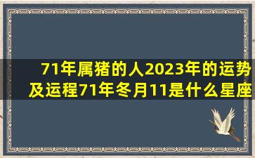 71年属猪的人2023年的运势及运程71年冬月11是什么星座