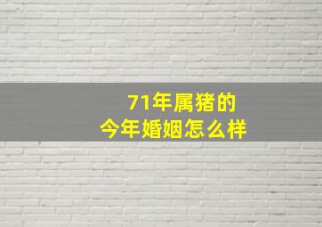 71年属猪的今年婚姻怎么样