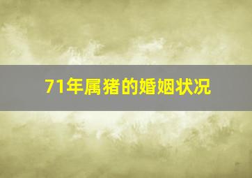 71年属猪的婚姻状况