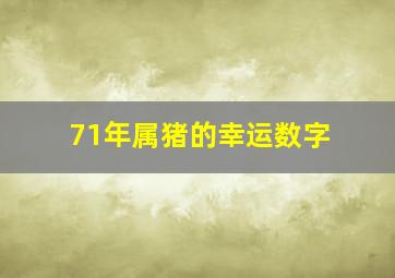 71年属猪的幸运数字