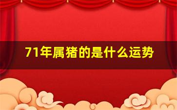 71年属猪的是什么运势