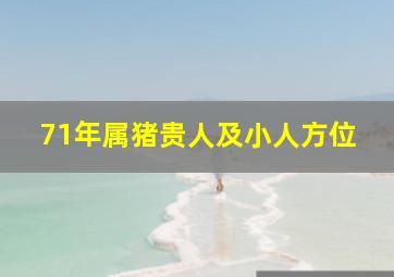 71年属猪贵人及小人方位