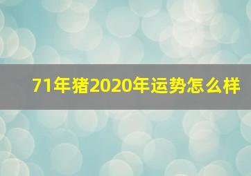 71年猪2020年运势怎么样