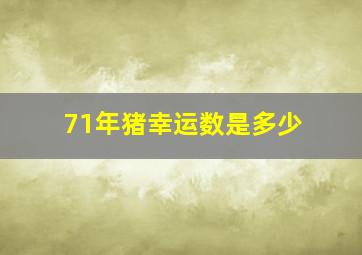 71年猪幸运数是多少