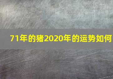 71年的猪2020年的运势如何