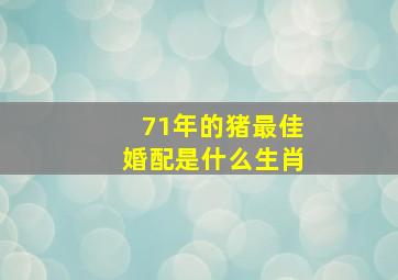 71年的猪最佳婚配是什么生肖