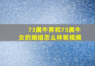 73属牛男和73属牛女的婚姻怎么样呢视频