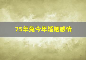 75年兔今年婚姻感情