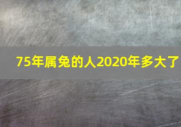 75年属兔的人2020年多大了