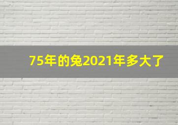 75年的兔2021年多大了