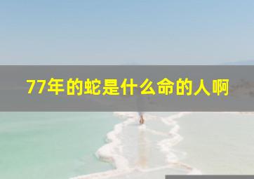 77年的蛇是什么命的人啊