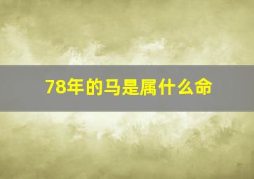 78年的马是属什么命