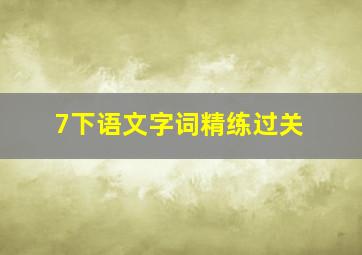 7下语文字词精练过关