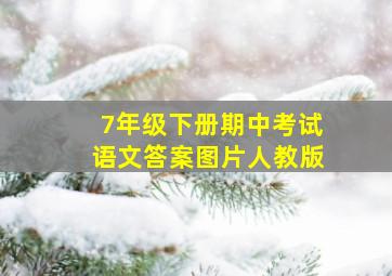 7年级下册期中考试语文答案图片人教版