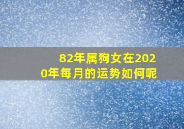 82年属狗女在2020年每月的运势如何呢