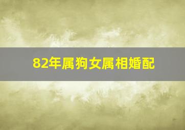 82年属狗女属相婚配