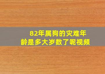 82年属狗的灾难年龄是多大岁数了呢视频