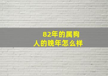 82年的属狗人的晚年怎么样