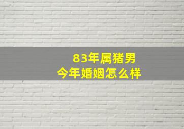 83年属猪男今年婚姻怎么样