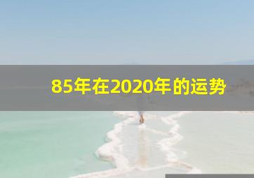 85年在2020年的运势