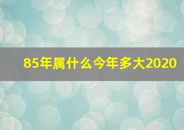 85年属什么今年多大2020