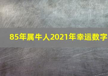 85年属牛人2021年幸运数字