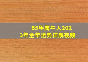 85年属牛人2023年全年运势详解视频