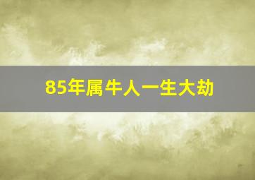 85年属牛人一生大劫