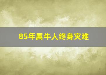 85年属牛人终身灾难