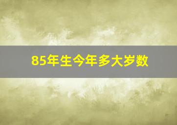 85年生今年多大岁数