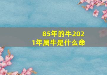 85年的牛2021年属牛是什么命