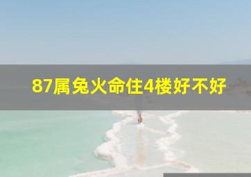 87属兔火命住4楼好不好