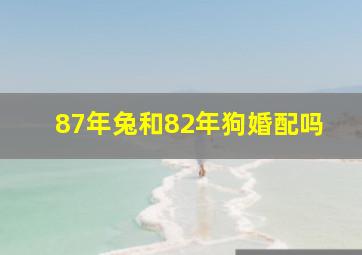 87年兔和82年狗婚配吗